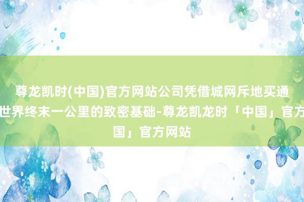 尊龙凯时(中国)官方网站公司凭借城网斥地买通服务世界终末一公里的致密基础-尊龙凯龙时「中国」官方网站