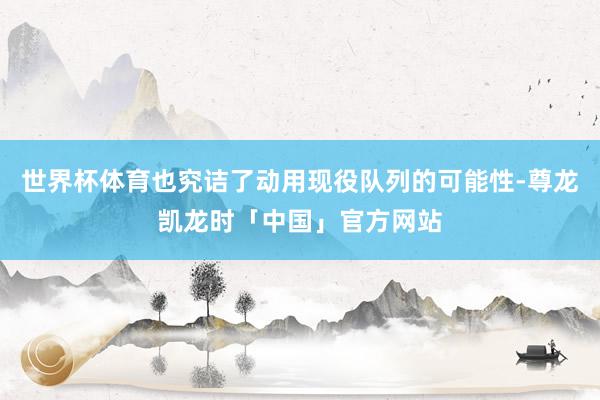 世界杯体育也究诘了动用现役队列的可能性-尊龙凯龙时「中国」官方网站