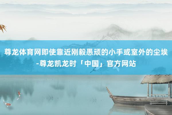 尊龙体育网即使靠近刚毅愚顽的小手或室外的尘埃-尊龙凯龙时「中国」官方网站