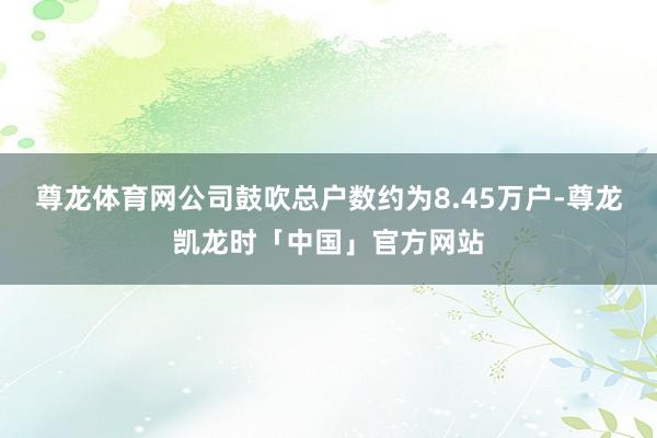 尊龙体育网公司鼓吹总户数约为8.45万户-尊龙凯龙时「中国」官方网站
