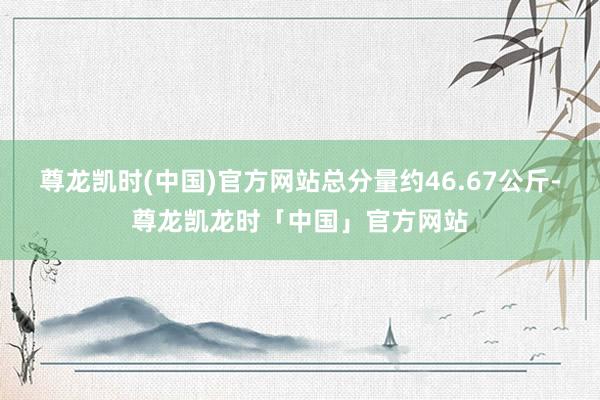 尊龙凯时(中国)官方网站总分量约46.67公斤-尊龙凯龙时「中国」官方网站