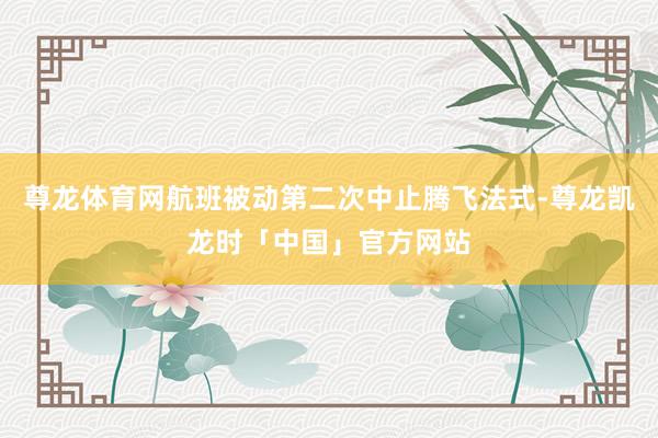 尊龙体育网航班被动第二次中止腾飞法式-尊龙凯龙时「中国」官方网站
